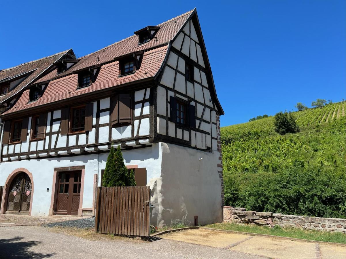 Domaine La Cour Des Nobles - Demeure, Maison Et Appartements Au Coeur De Riquewihr Exteriér fotografie